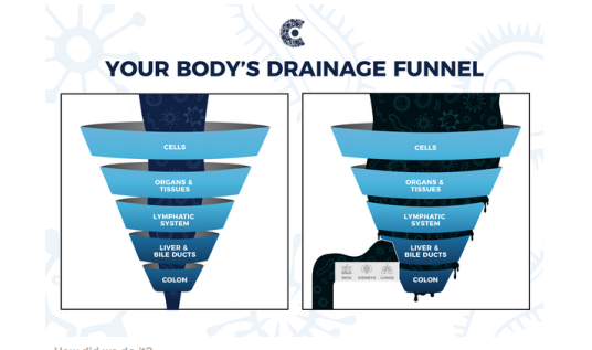 body drainage funnel