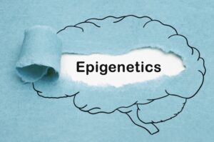 Epigenetics